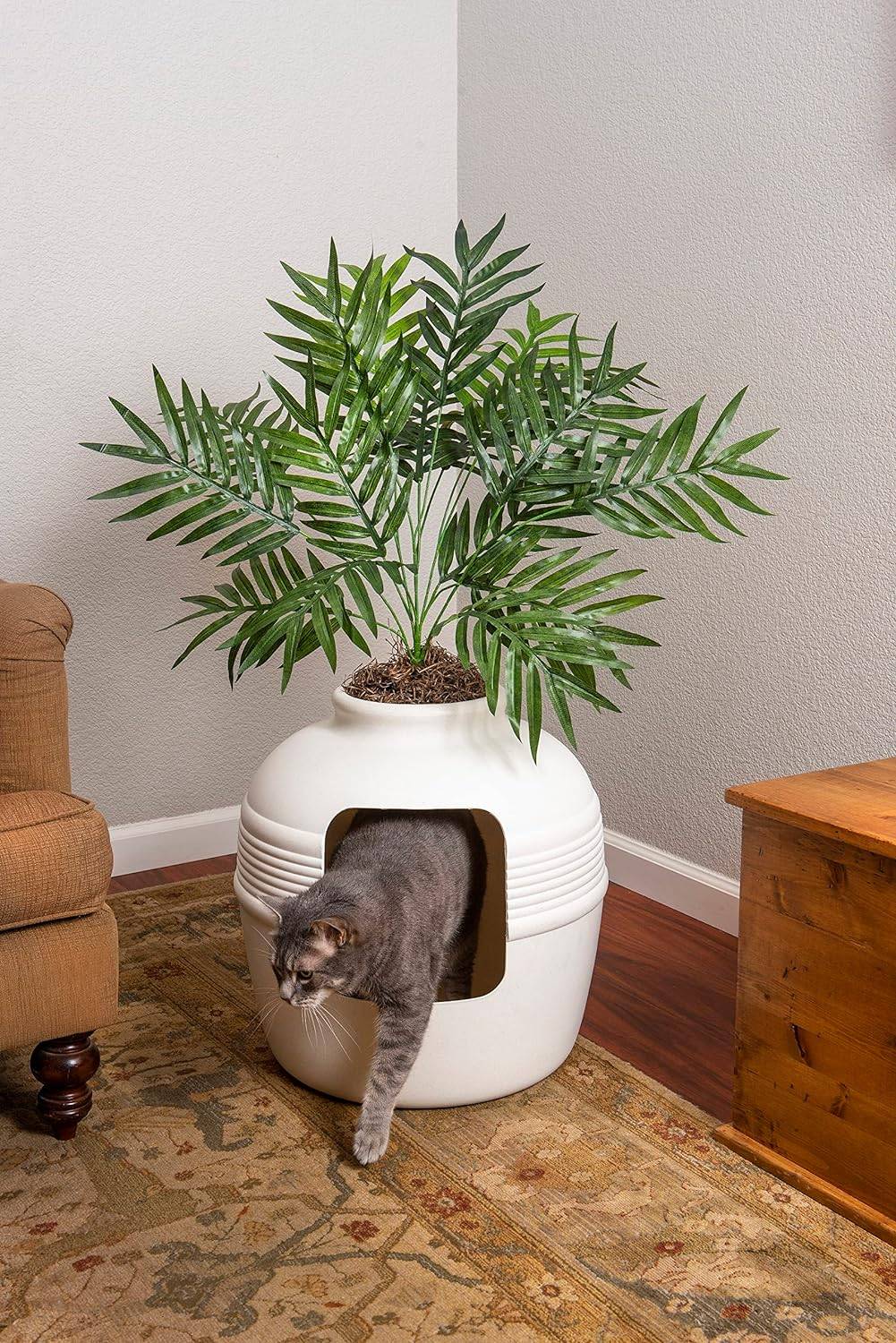 Cat leaving a litter box that is hidden as a planter.