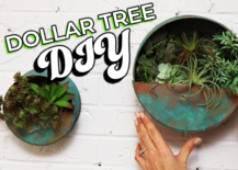 Decoist DIY: Dollar Tree Floating Wall Planter